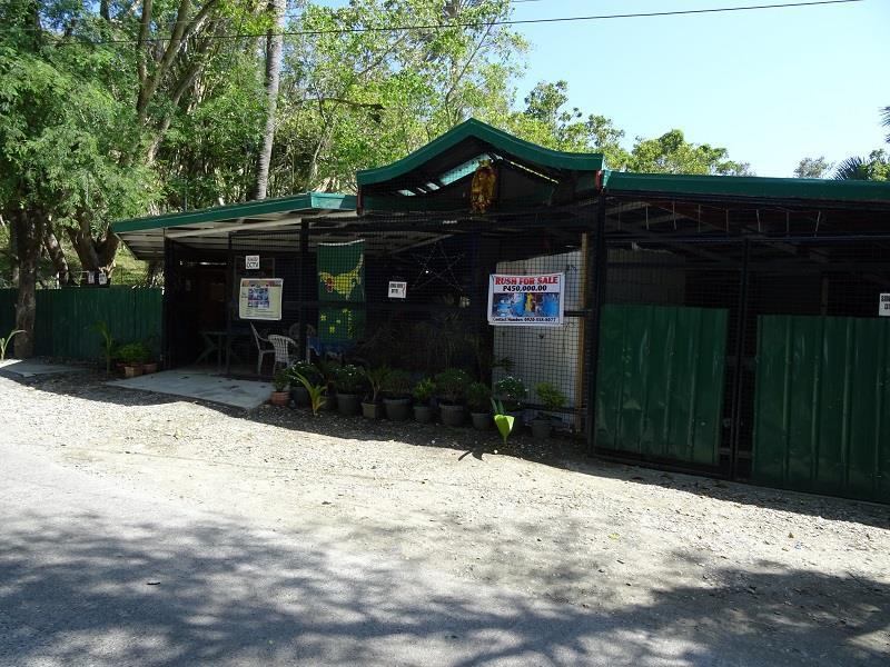 Happy Buddha Inn Puerto Galera Eksteriør bilde